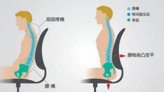 人体工学椅哪个品牌好？2026最值得买的人体工学椅前十名