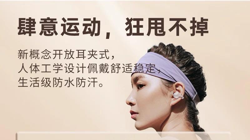 耳夹式蓝牙耳机哪个牌子好？2025高性价比十强推荐