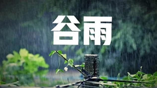 公谷雨粮满仓，母谷雨旱死牛，今年谷雨是公是母？看农谚怎么说
