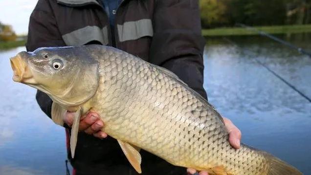 走进忻州偏关县，尝试九种地道美食