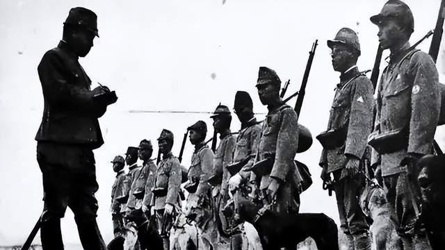 抗日战争中的“狗狗大战”，中国土狗大显神威，咬死数百日本狗