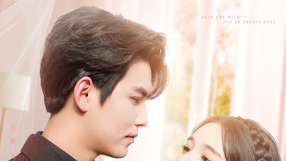 《引野犬装乖》短剧全集免费看/完整版/直通大结局/一口气看完系列