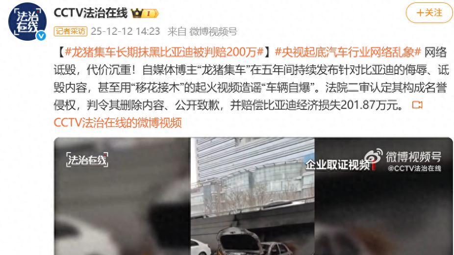 恶意造谣实锤了！“龙哥讲电车”被判消除影响，赔偿比亚迪200万