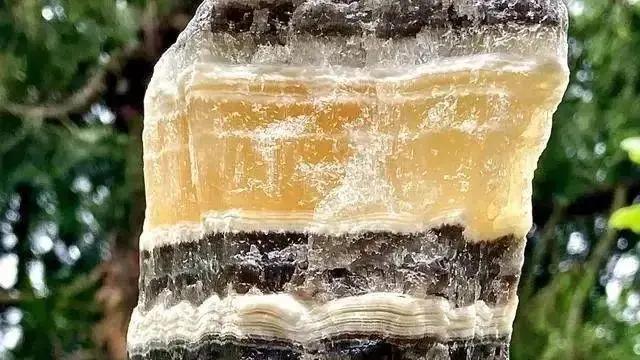 三十绝迹见照片，广岛原子弹爆炸把人印到墙上，被飞机撞的帝国大厦