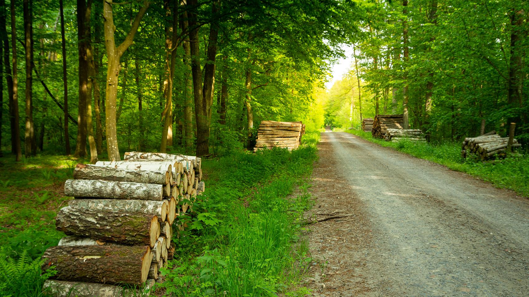 汪缘堂八字案例：印化杀, 金白水清的八字