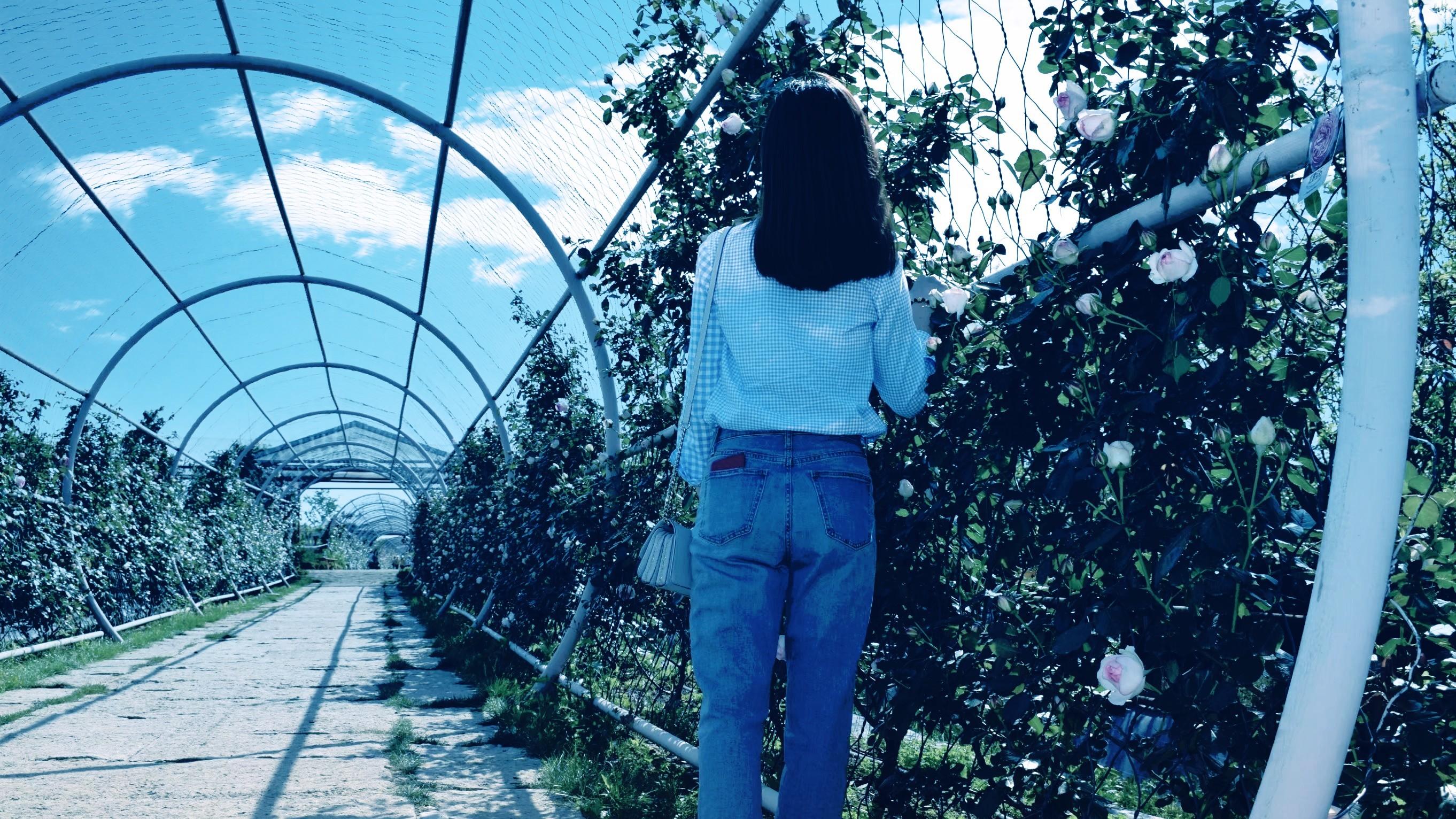 一别再无大桥陈