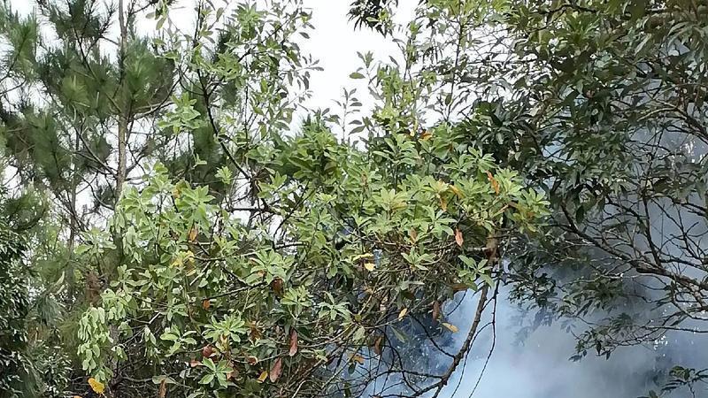 今年的清明节与众不同，百年一遇！上坟时“4人不去，3人必去”