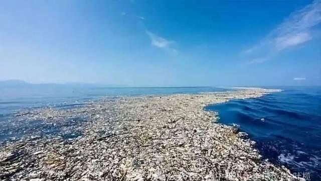 “洲长”有约：第32期“垃圾洲会客厅”线上举行，叶榄呼吁设立“世界垃圾洲日”