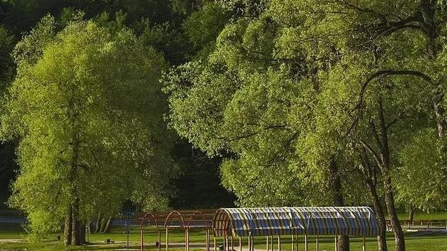 易经之道教会我：越是想得到的东西，越要学会以静制动