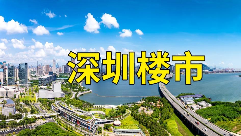12万套背后的割肉与狂欢：扒开2025深圳楼市的最后一层真相