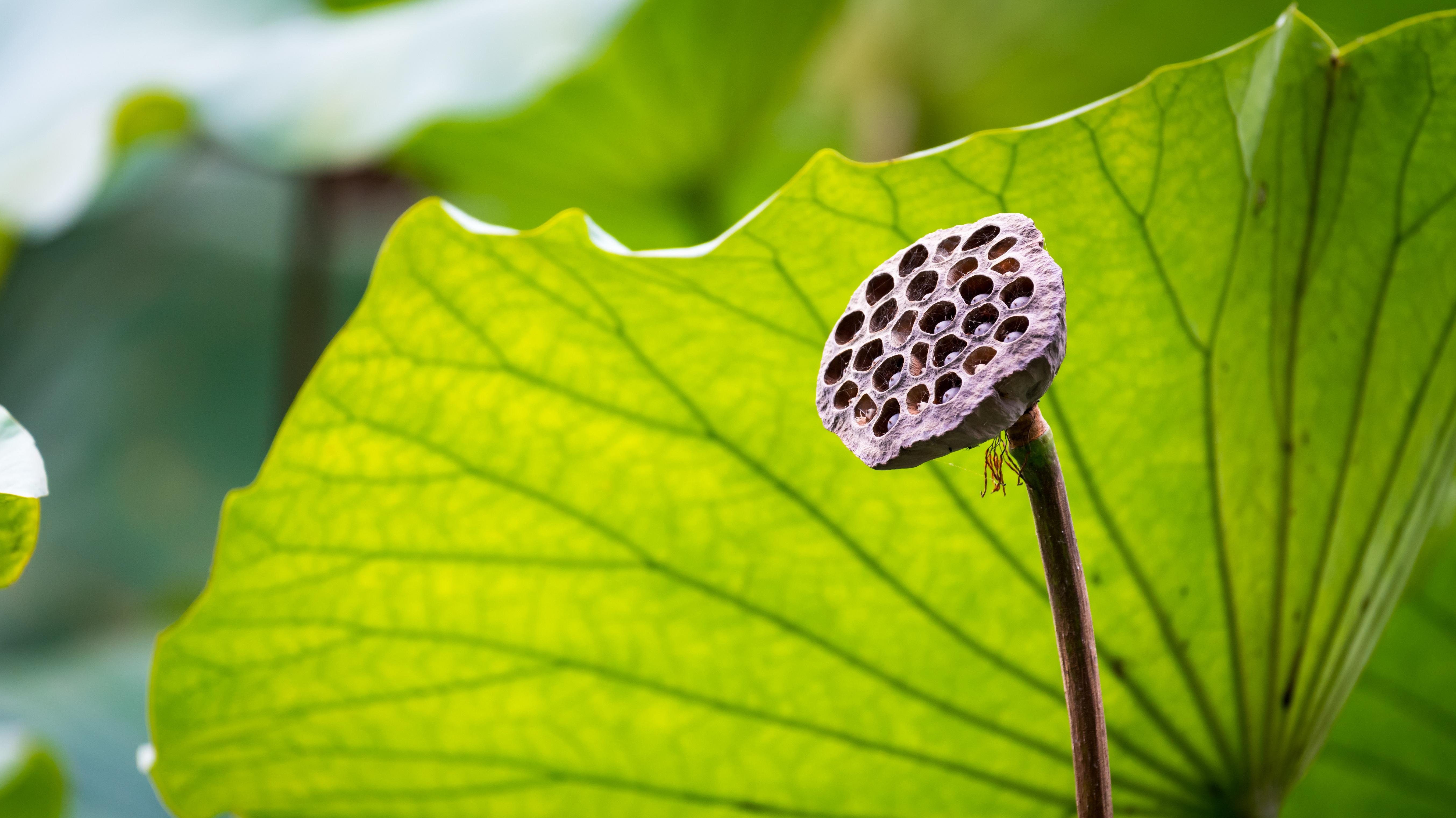 谷歌亮剑英伟达：AI芯片江湖变天了？