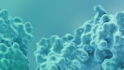 酵母细胞表面展示系统：多元应用场景与技术优化解析