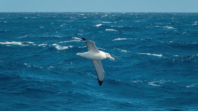 南极底层水的扩张促成了末次冰期的结束