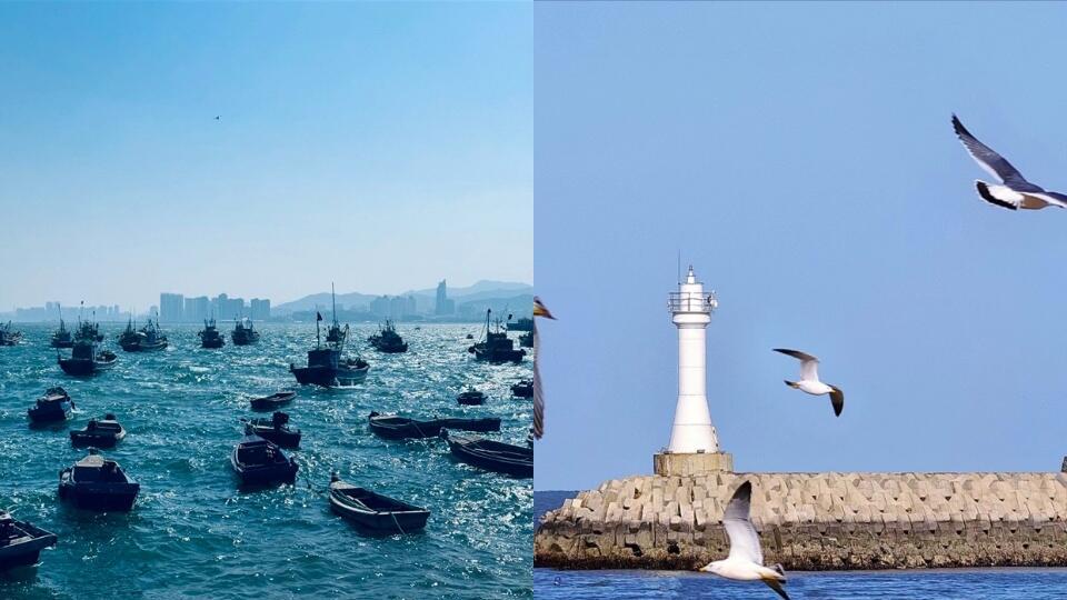 周末带娃旅游，威海两日游路线