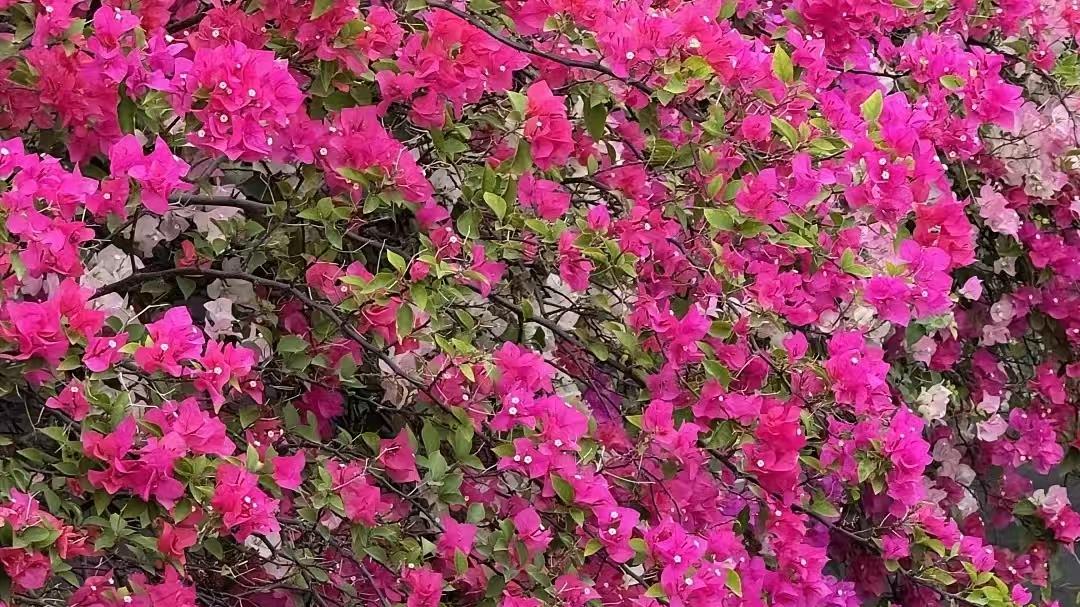 好好赚钱，比什么都重要。