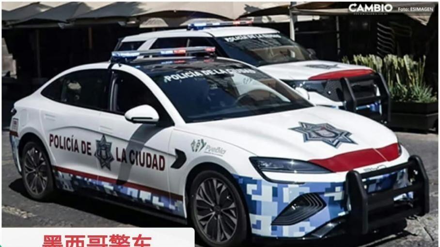 比亚迪喜提“国际编制”，海外公务车市场也开始刮起中国风