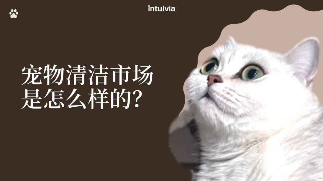 洗欢宠：宠物大清洁市场洞察
