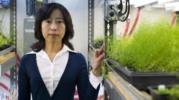 北大才女留学后回国任职



北大才女陈雪梅，美国院士，最终选择全职回国，这背后