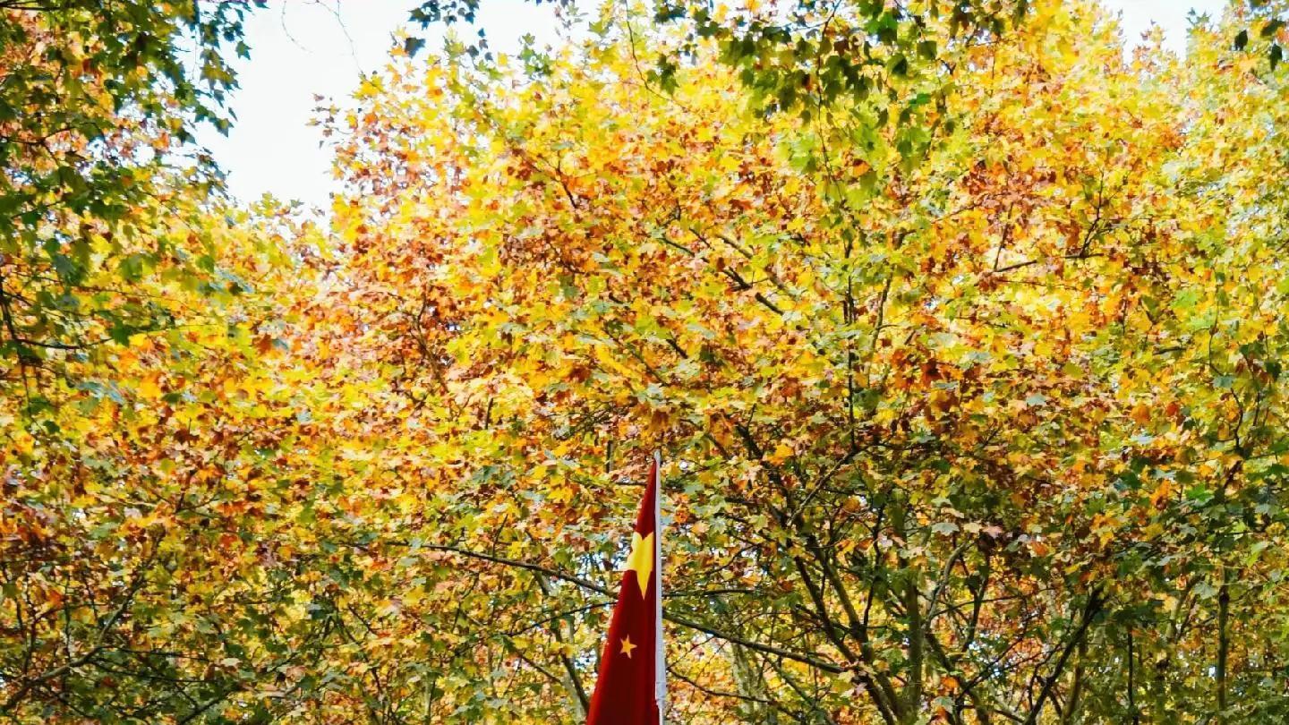 国内高校分享第24期：东南大学-本科生也能持股30%创业，东大怎么做到的？