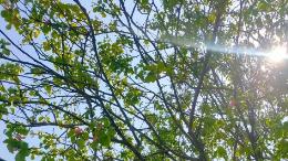 结婚嫁妆被妈挪用，五年后母子终和解