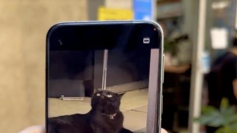 鸿蒙5.1：细节之处见真章，实况窗让华为Pura 80系列使用体验升级