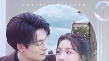《悄悄藏不住》短剧在线免费全集：100 集《悄悄藏不住》：百集青春故事，刘耘良的摄影追梦之旅