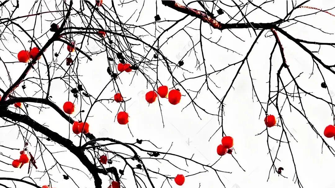 七律·小寒夜思吟