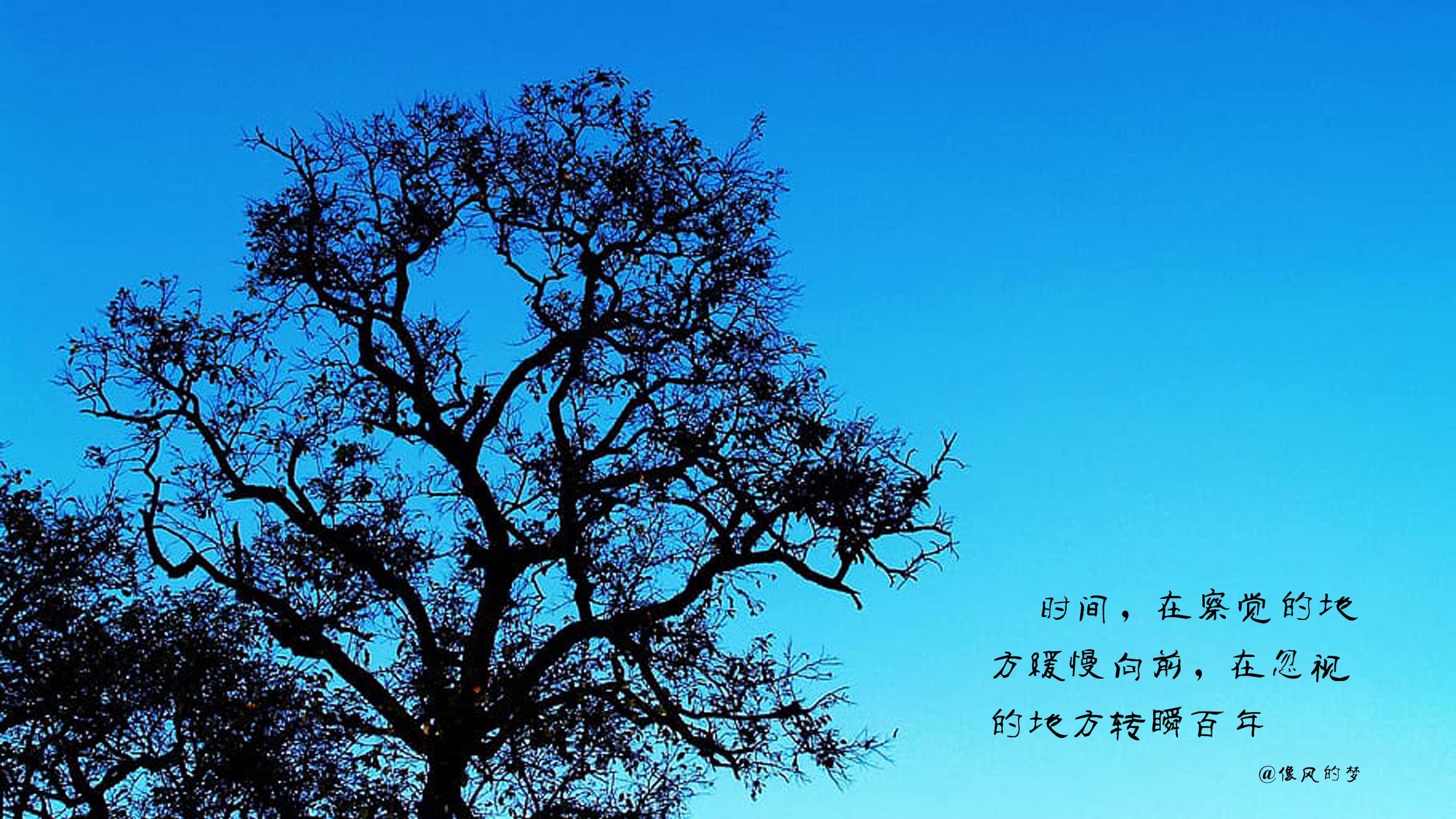 心中有疑处处问题，心中有气处处烦意，心中有爱天下欢喜