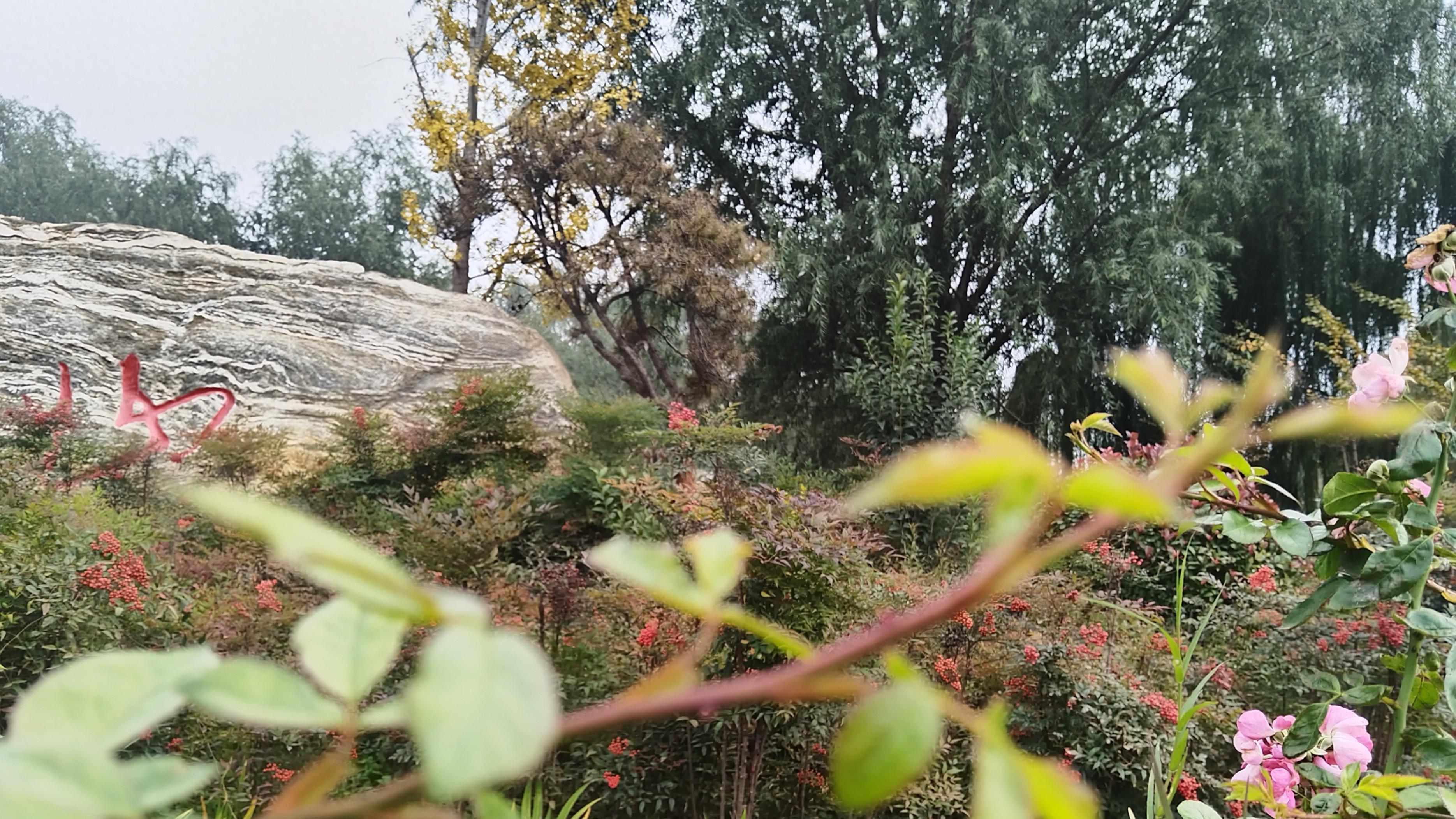 别太操心孩子，也别太卑微和哄着，多关心自己，放过也是一种智慧