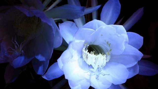 2025年的春天，我将于花开之际，悄然释怀