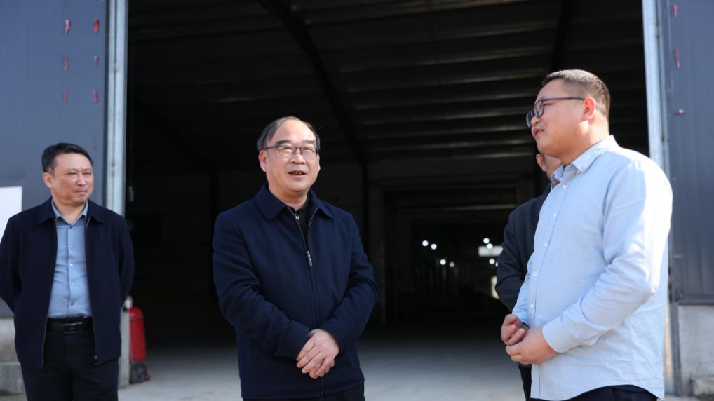 杨波深入木港、枫林调研“四张清单”重点项目