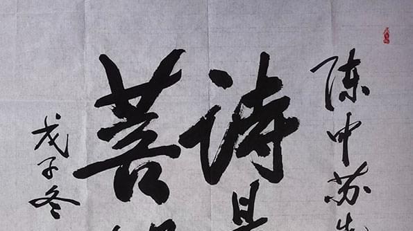 诗是心灵的菩提树！——陈中苏诗词集《雪舟吟草》由百家文艺出版社荣誉出版！