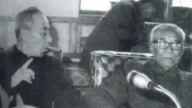 卢骅：一幅罕见的照片，证实杨靖宇率领的部队佩戴过红袖标！