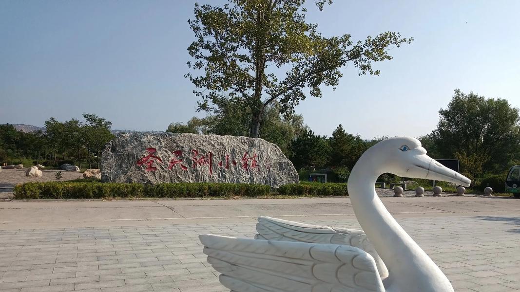 圣天湖：黄河臂弯里的“生态明珠”，解锁湿地候鸟与农耕文明的四季诗画