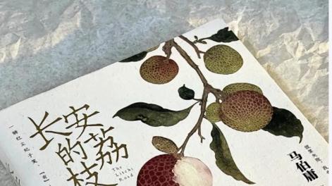 杨幂代露娃：不一的演绎诠释《长安的荔枝》李善德妻