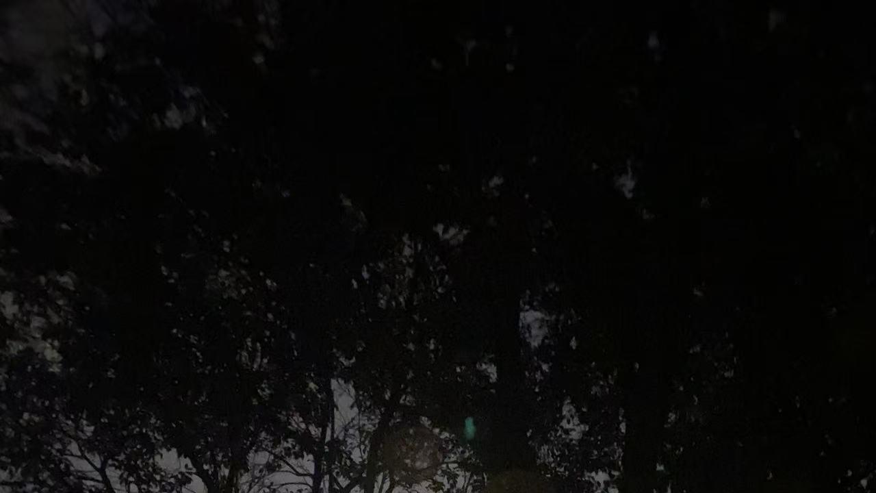 如何拥抱一只“刺猬”?