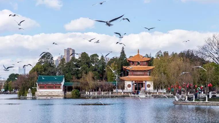中国又一座城市被老外“占据”，10万老外流连忘返！无冬之城，美女如云，此生必去！