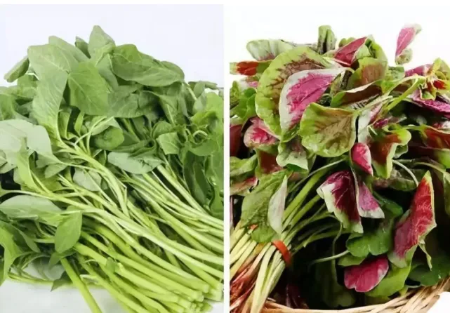 必看！五类蔬菜下锅前必焯水，你漏掉了哪些关键操作？