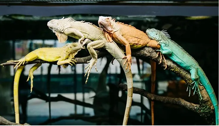 贵州榕江将投资2.2亿元打造温泉小镇