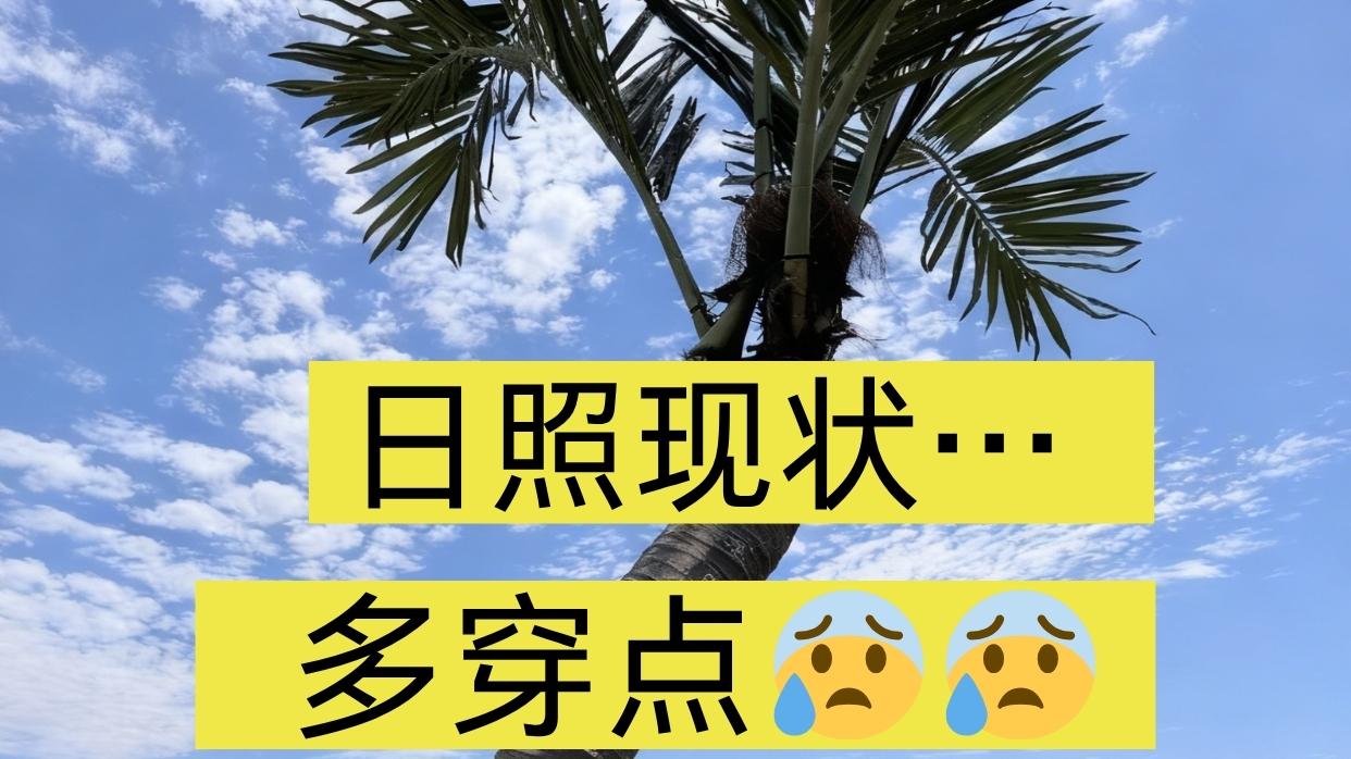 日照现状。。多穿点！