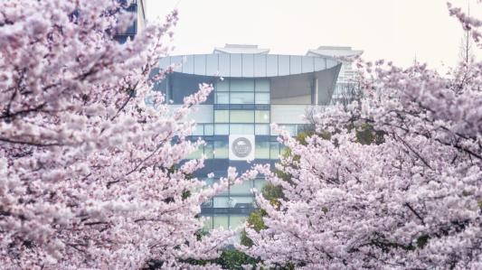 同济大学王牌专业有哪些？古希腊掌管科学进步的神，育人成果显著！