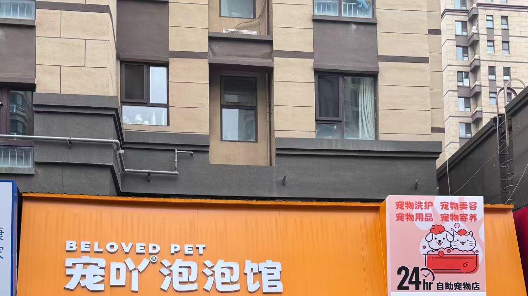 从自助到专业：宠吖泡泡馆如何满足济南宠主的全需求