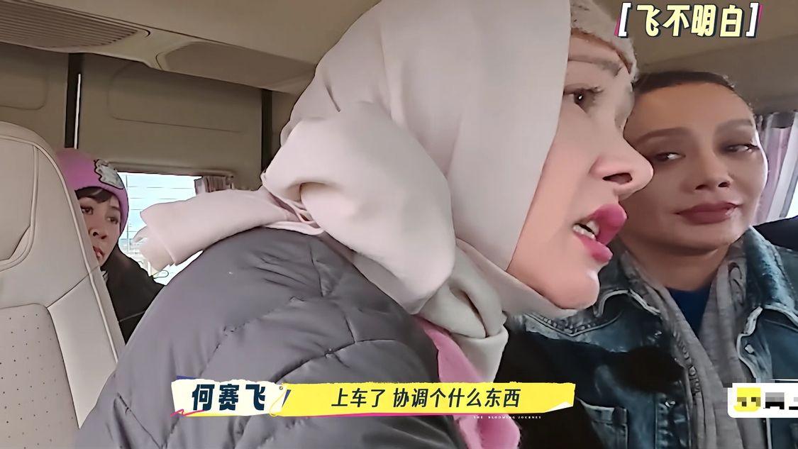 《一路繁花2》：“不合群”的何赛飞，才是综艺真正的“降维打击”