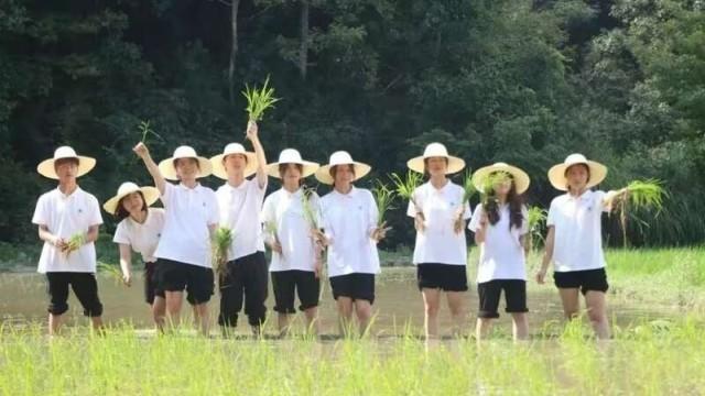 团景德镇市委在服务青年中彰显新作为