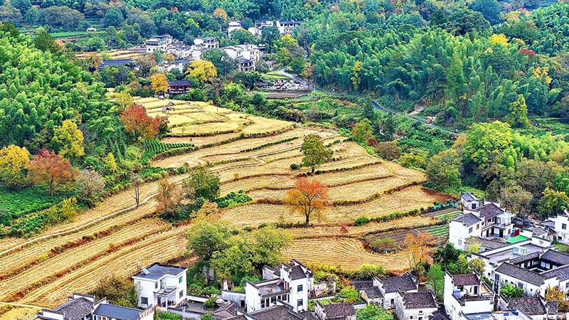 【美文欣赏】塔川：秋色深处，时光停泊的渡口