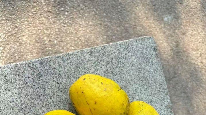 就算有人已经嘴破血流 也阻挡不了西安人对杜邑木瓜的向往