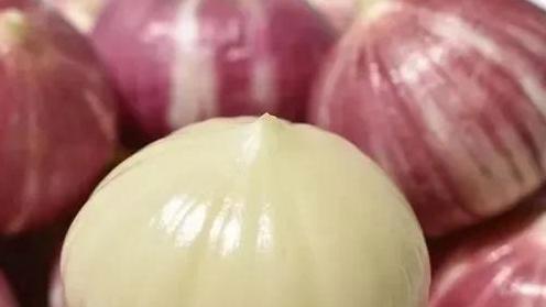 不打农药的高产秘密：6种易种蔬菜推荐