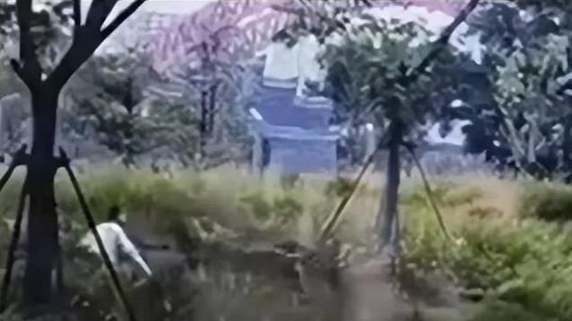 江西母女二人被四条恶犬咬伤后续，两人刑拘，丈夫再发声
