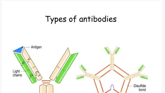 每天5000步就能延缓老年痴呆？科学验证的护脑秘诀