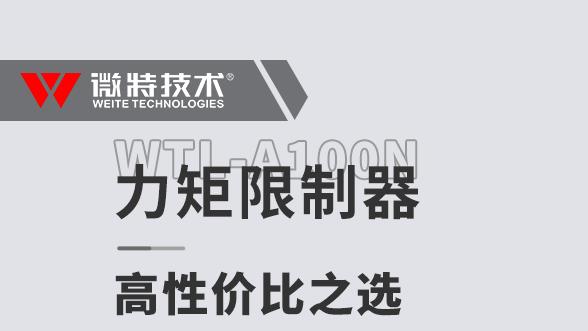 高性价比之选——WTL-A100N力矩限制器